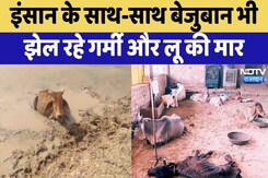 Rajasthan Weather:गर्मी और लू से राहत नहीं,इन इलाकों के लिए जारी धूल भरी आंधी का अलर्ट | Latest News Rajasthan Weather:गर्मी और लू से राहत नहीं,इन इलाकों के लिए जारी धूल भरी आंधी का अलर्ट | Latest News
