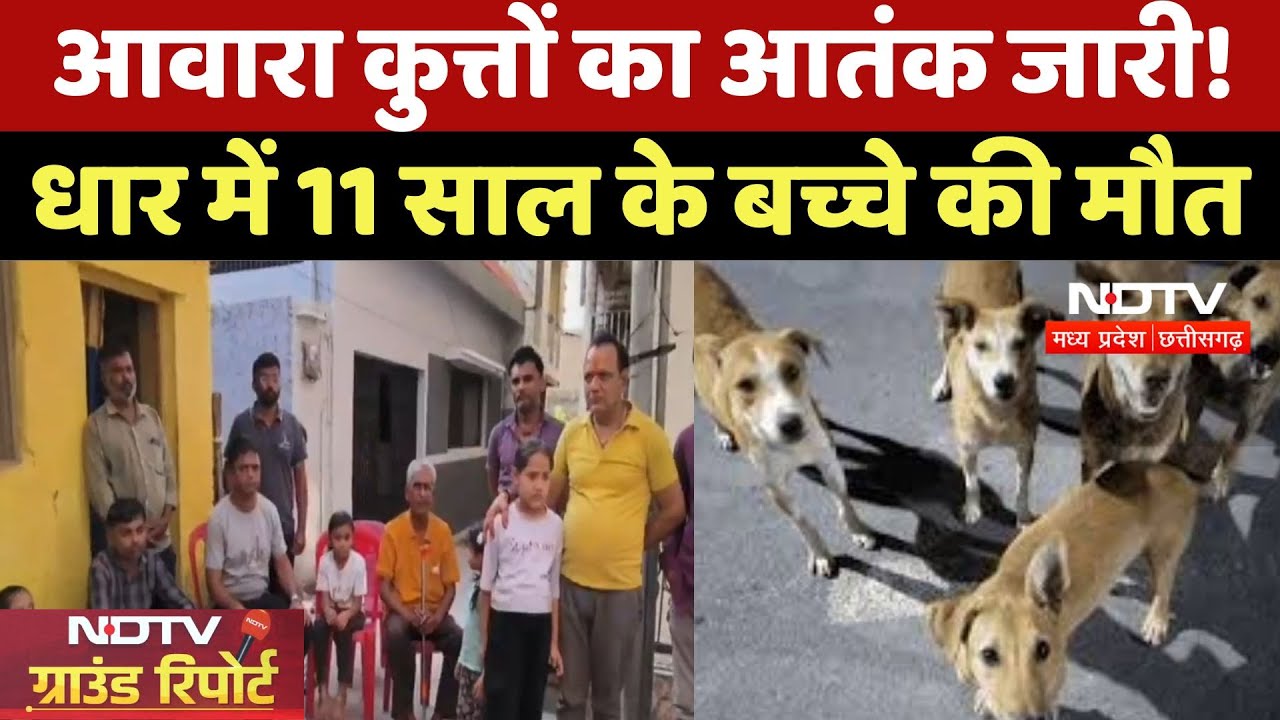 Dog Attack In Dhar : आवारा कुत्तों का आतंक जारी! धार में 11 साल के Children की मौत