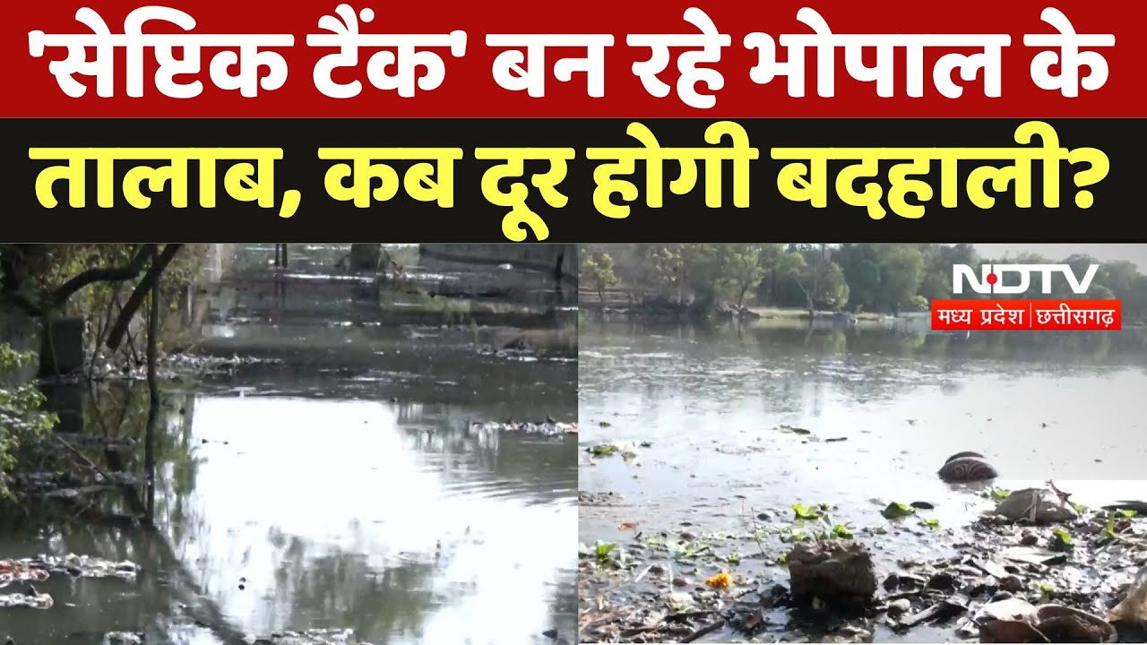 Bhopal Ponds News : 'Septic Tank'' बन रहे भोपाल के तालाब, कब दूर होगी बदहाली ?