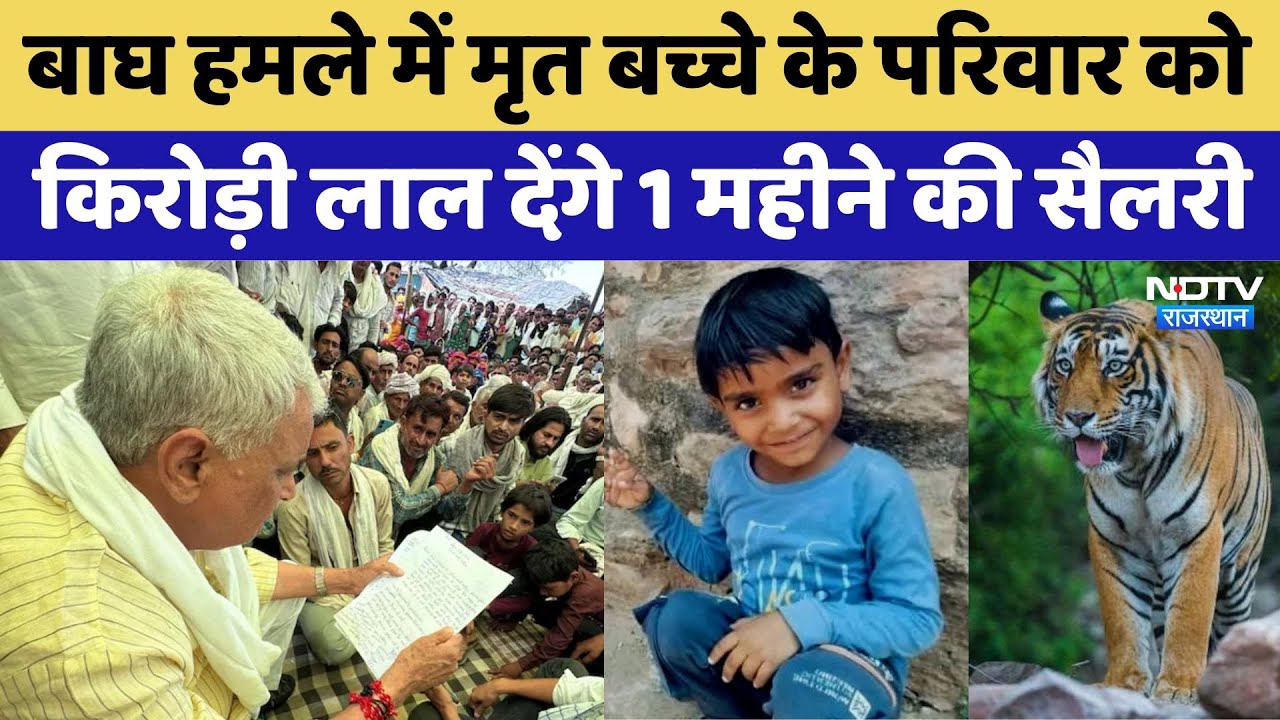 बाघ हमले में मृत बच्चे के परिवार को किरोड़ी देंगे 1 महीने की सैलरी