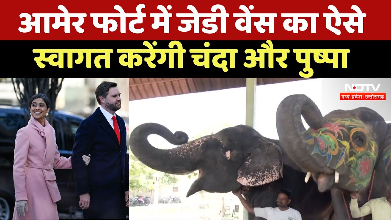 JD Vance India Visit: Amer Fort में जेडी वेंस का ऐसे स्वागत करेंगी Chanda और Pushpa | Latest News