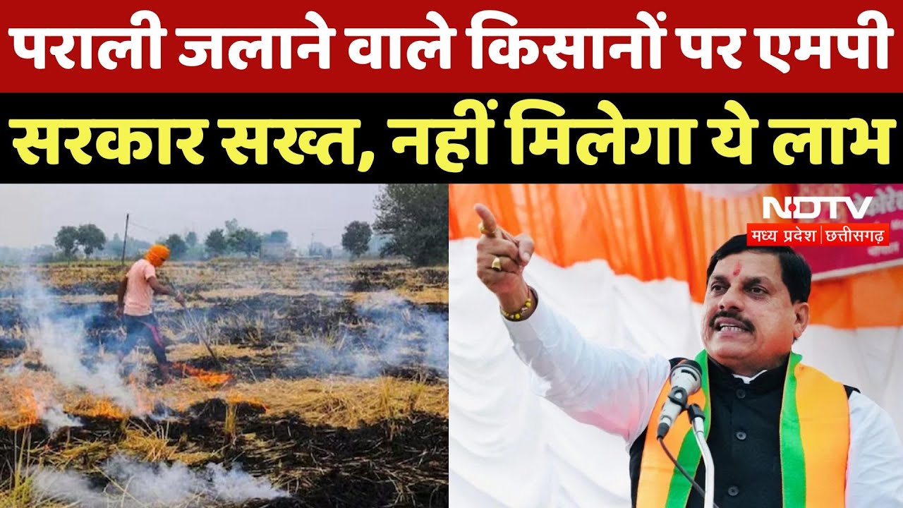MP में पराली जलाने वाले किसानों को CM Mohan Yadav का सख्त आदेश, नहीं मिलेगा इन योजनाओं का लाभ