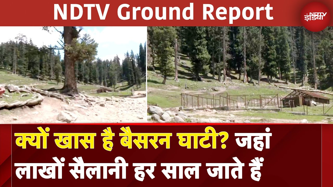 Video : Pahalgam Terror Attack: क्यों खास है बैसरन घाटी? जहां लाखों सैलानी हर साल जाते हैं | NDTV India