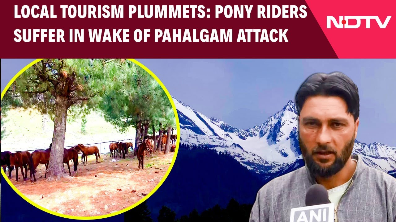 Terror Hits Tourism: Local Pony Riders Left In The Lurch After Pahalgam Attack