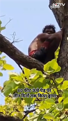 Chhattisgarh: घरवाले ढूंढते रहे, 3 दिन तक पेड़ पर चढ़कर करता रहा ड्रामा | Shorts Chhattisgarh: घरवाले ढूंढते रहे, 3 दिन तक पेड़ पर चढ़कर करता रहा ड्रामा | Shorts