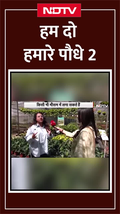 Delhi-NCR के Pollution के बीच एक हरी भरी दुनिया, जहां मिलेगी शुद्ध हवा...