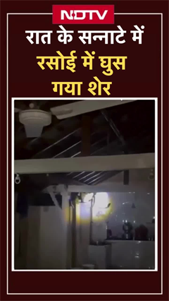 Gujarat में घर में घुसा शेर, मच गई अफरा-तफरी | Viral Video | SHORTS