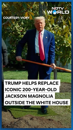 Trump Helps Plant Replacement For 200-year-old Tree Outside White House Trump Helps Plant Replacement For 200-year-old Tree Outside White House
