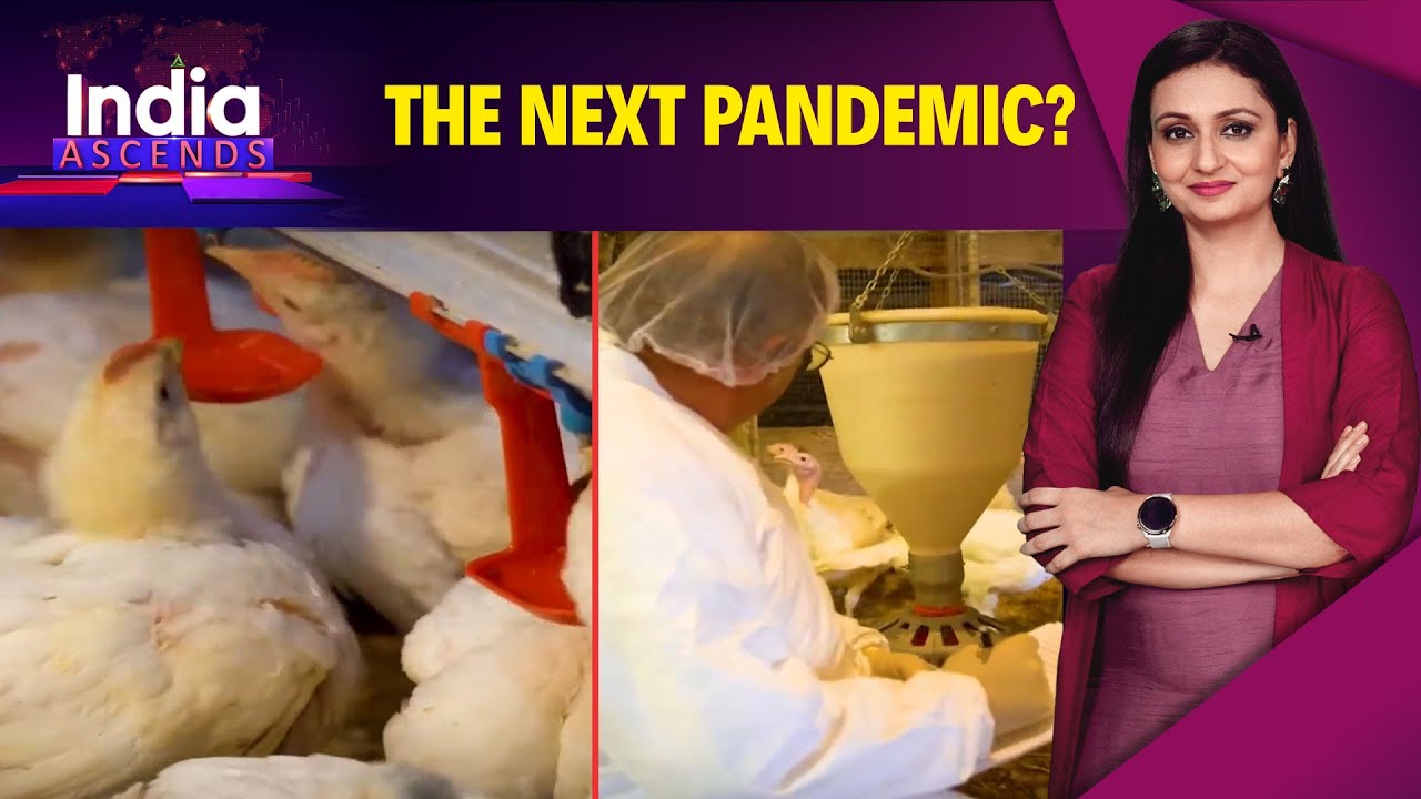 Bird Flu | H5N1 Virus Spreads Across All 50 US States, Experts Urge Caution