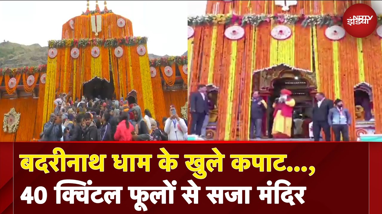 Badarinath Dham Video | बद्रीनाथ धाम के खुले कपाट, 40 क्विंटल फूलों से सजा मंदिर | Char Dhaam Yatra