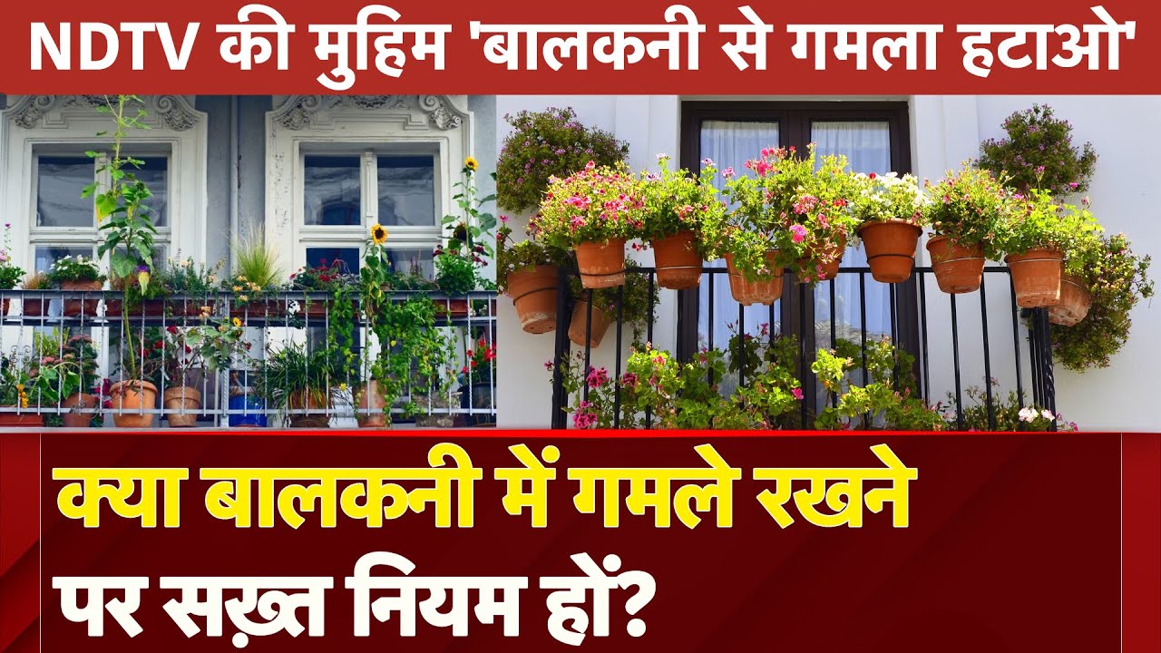 NDTV India की ख़ास मुहीम | क्या Balcony में गमले रखने पर सख़्त नियम हों?