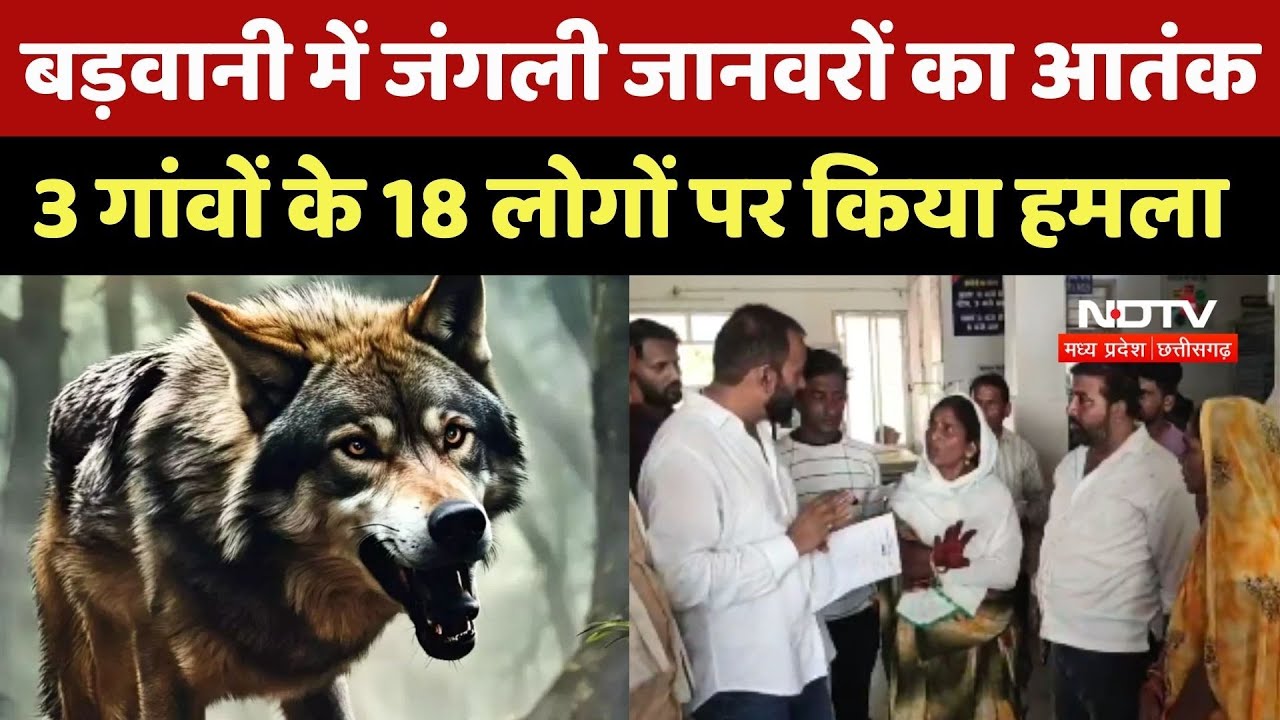 Barwani में जंगली जानवरों का आतंक, 3 गांवों के 18 लोगों पर किया हमला Barwani में जंगली जानवरों का आतंक, 3 गांवों के 18 लोगों पर किया हमला