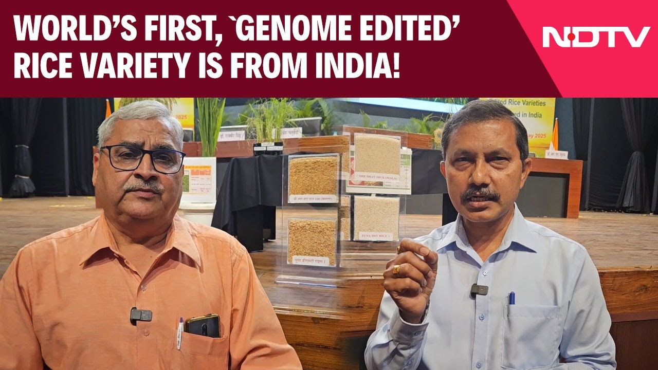 Genome Edited Rice | World's First, 'Genome Edited' Rice Variety Is From India!