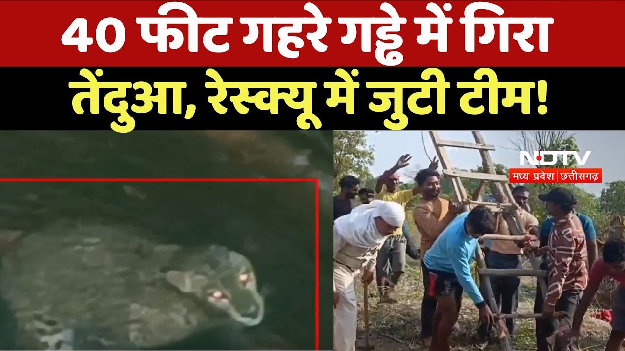 Gariyaband News: 40 फीट गहरे गड्ढे में गिरा तेंदुआ, Rescue में जुटी टीम !