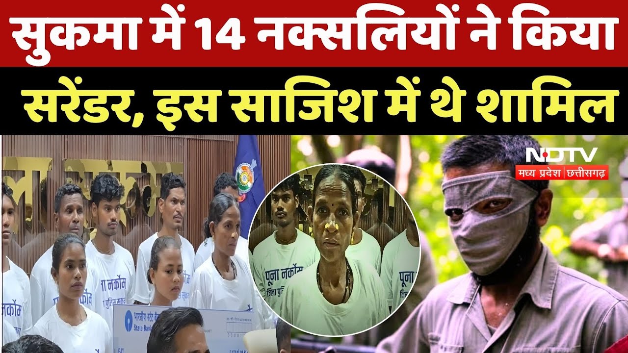 Sukma Naxal Surrender: सुकमा में 14 नक्सलियों ने किया सरेंडर, इस बड़े साजिश में थे शामिल | Naxalism Sukma Naxal Surrender: सुकमा में 14 नक्सलियों ने किया सरेंडर, इस बड़े साजिश में थे शामिल | Naxalism