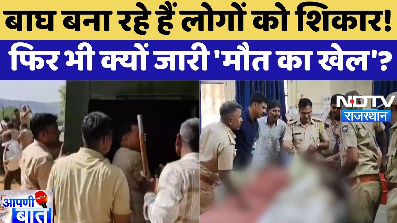 Ranthambore Tiger Reserve: बाघों का आतंक, जान जोखिम में डालकर भी जारी है मौत का खेल AAPNI BAAT