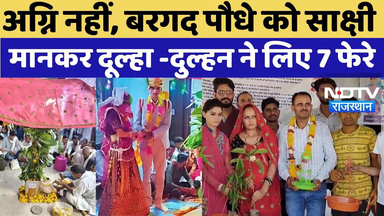 Karauli News: अग्नि नहीं, बरगद पौधे को साक्षी मानकर दूल्हा -दुल्हन ने लिए फेरे, करौली में अनोखी शादी