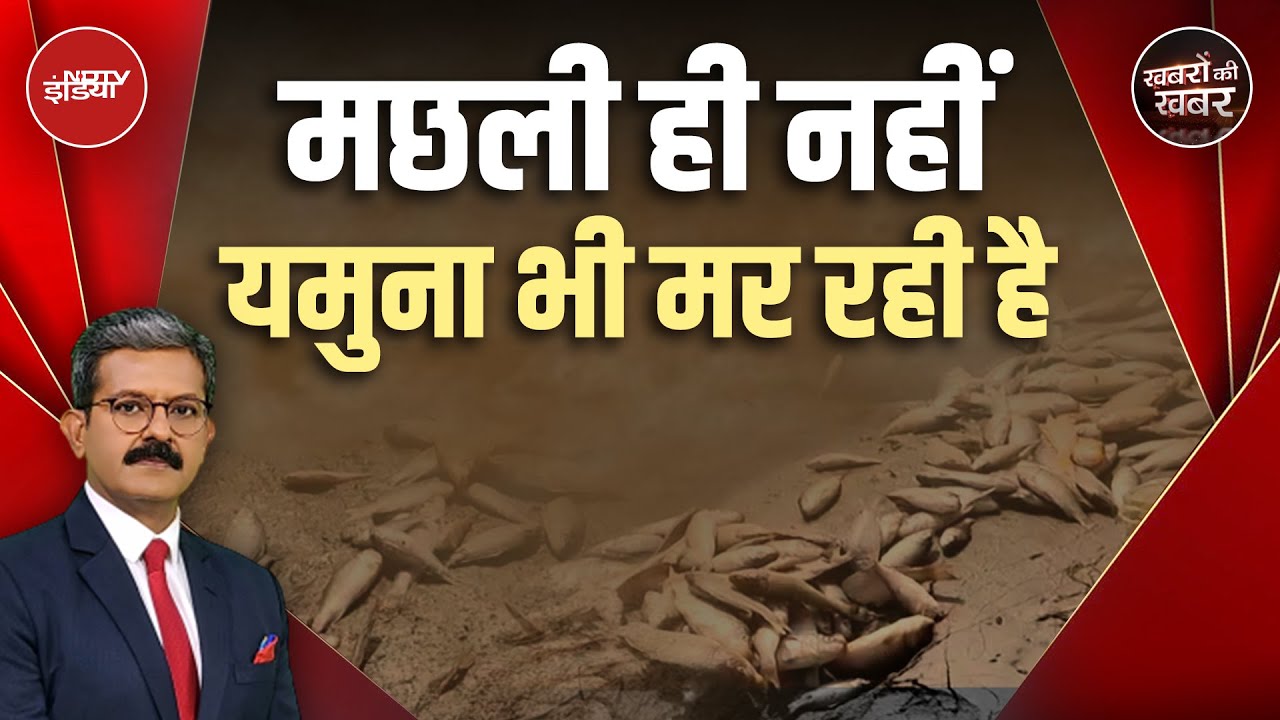 Delhi की Yamuna में वो जहर कहां से आया जिसमें अब मछलियां भी मरने लगी हैं? | Khabron Ki Khabar