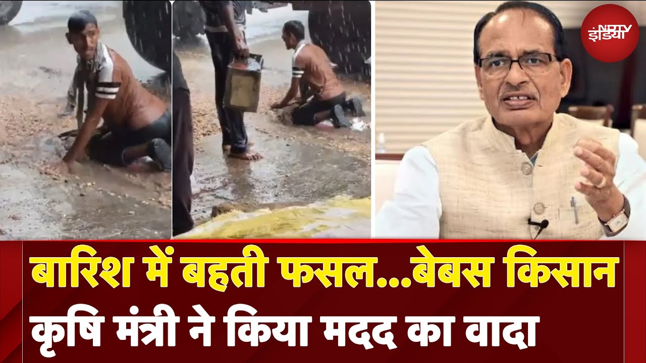 Maharashtra: बारिश में बहती फसल और बेबस किसान, कृषि मंत्री Shivraj Singh Chouhan ने किया मदद का वादा