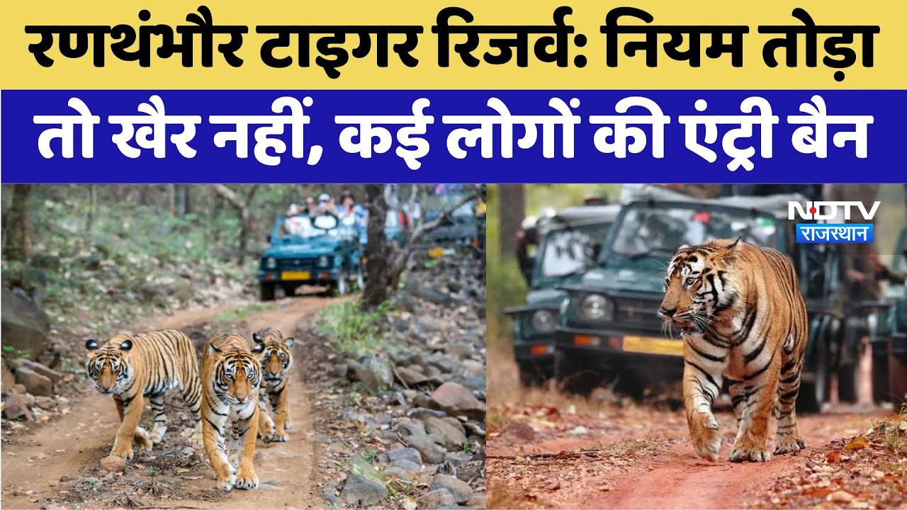 Ranthambore:Ranthambore Tiger Reserve में नियम तोड़ने वालों की अब खैर नहीं, कई लोगों की एंट्री बैन