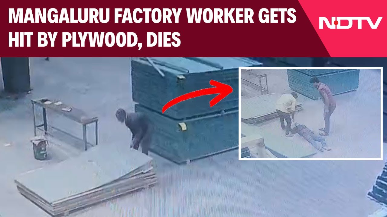 Mangaluru News | Mangaluru Factory Worker Gets Hit By Plywood, Dies