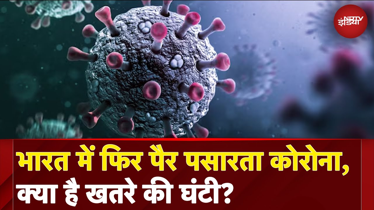 Covid 19 Cases: Singapore के बाद भारत में बढ़ रहे हैं Covid-19 के मामले, क्या है JN.1 Variant?