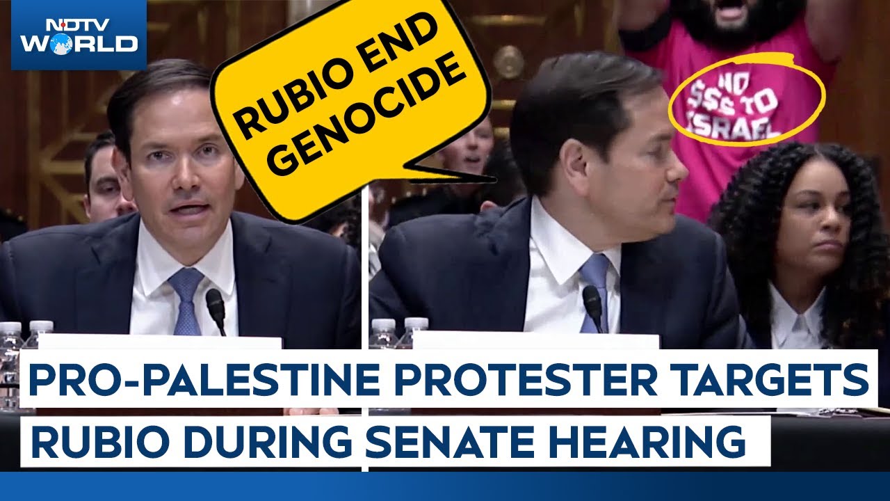 Trump Latest | Pro Palestine Protester Heckles US State Secy Marco Rubio During Senate Hearing