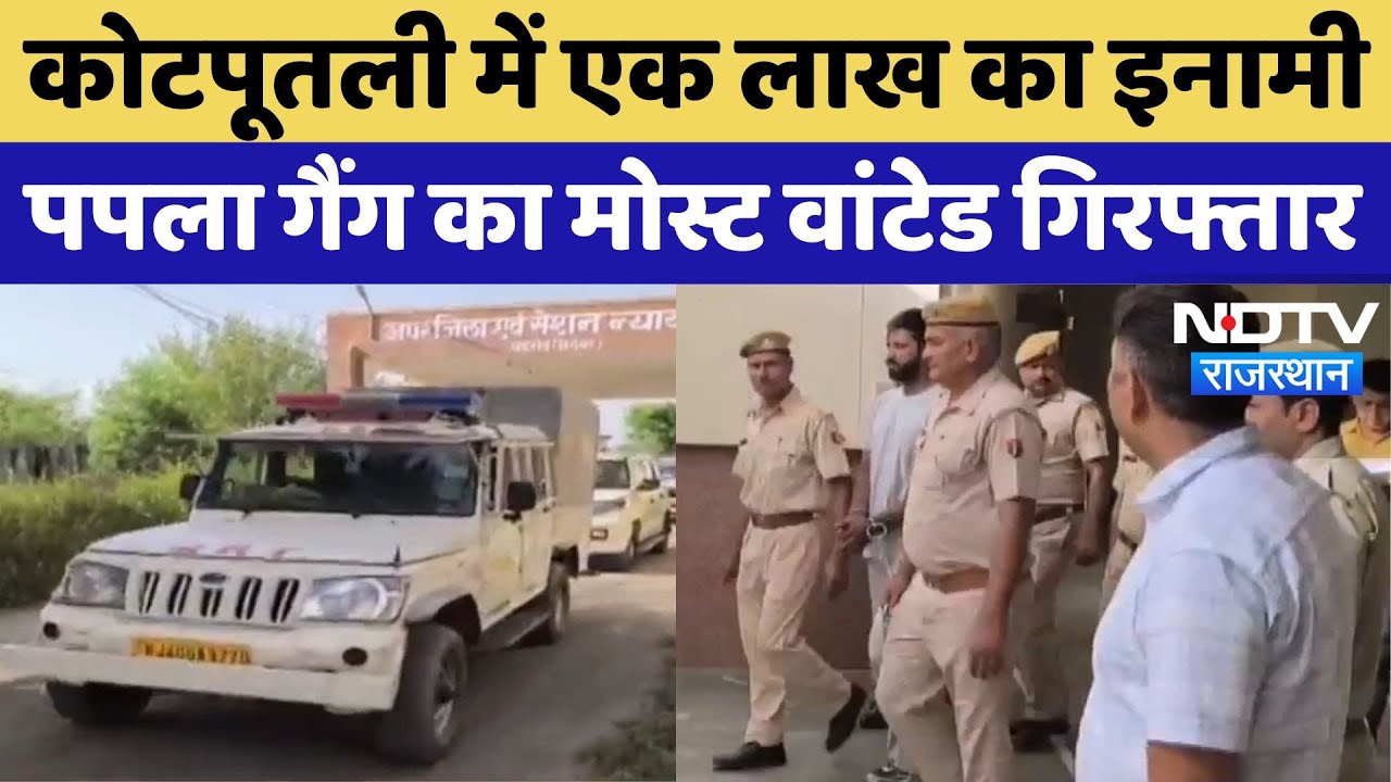 Kotputli News: पपला गैंग का Most Wanted Rajveer गिरफ्तार, एक लाख था इनाम | Rajasthan | Latest News