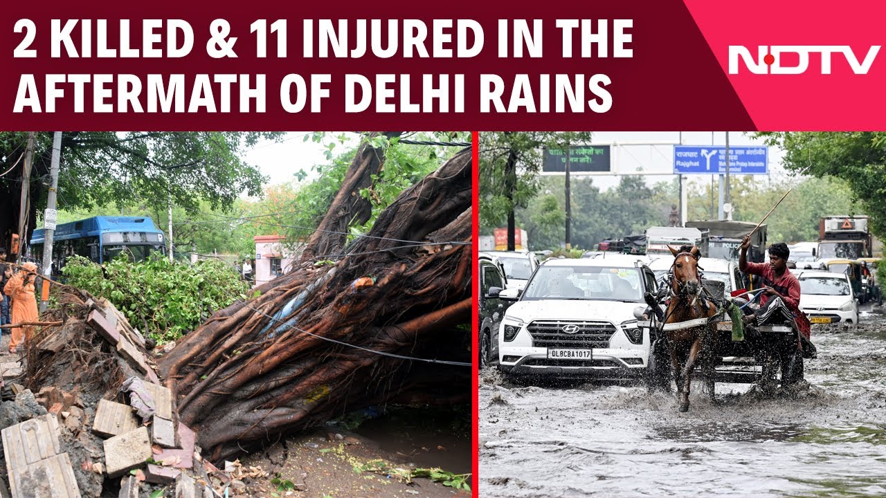 2 Killed, At least 11 Injured In Rain-Related Incidents In Delhi