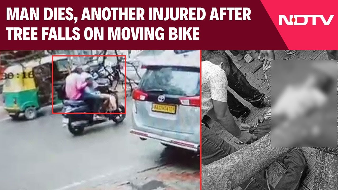 Bengaluru News | Man Dies, Another Injured After Tree Falls On Moving Bike In Bengaluru Bengaluru News | Man Dies, Another Injured After Tree Falls On Moving Bike In Bengaluru