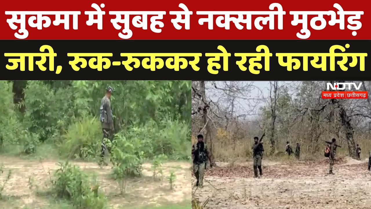 Sukma Naxal Encounter: सुकमा में सुबह से रुक-रुककर Firing, मुठभेड़ जारी | Chhattisgarh News | Naxali