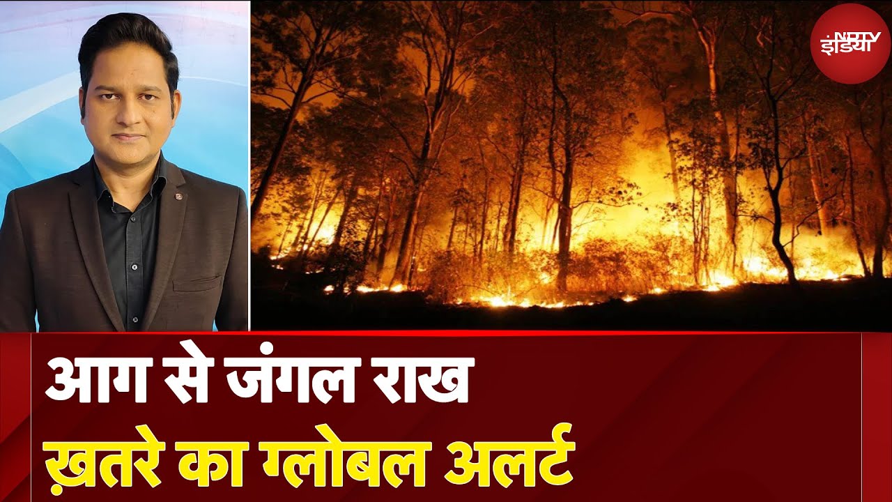 Forest Fires: 2024 में आग से सबसे ज्यादा स्वाह हुए जंगल | Climate Change | NDTV India