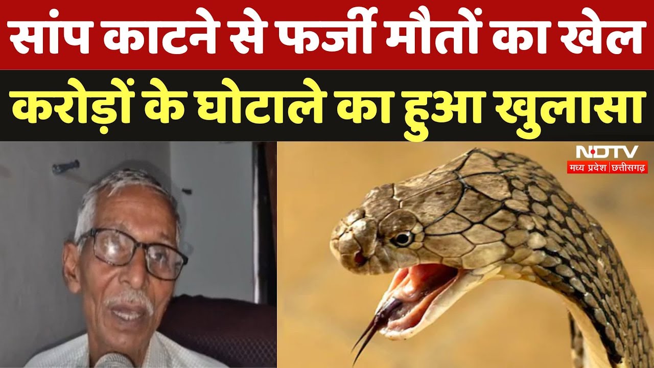 Snake Scam in Seoni: सांप काटने से फर्जी मौतों का खेल, Madhya Pradesh अनोखा घोटाला | Breaking | MPCG Snake Scam in Seoni: सांप काटने से फर्जी मौतों का खेल, Madhya Pradesh अनोखा घोटाला | Breaking | MPCG