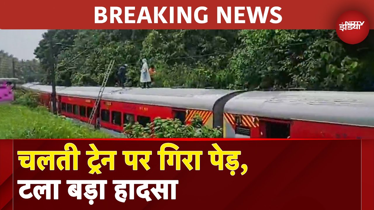 Kerala में Train पर गिरा विशाल पेड़, Thrissur में हादसा टला, यात्रियों की जान बची | Breaking News Kerala में Train पर गिरा विशाल पेड़, Thrissur में हादसा टला, यात्रियों की जान बची | Breaking News