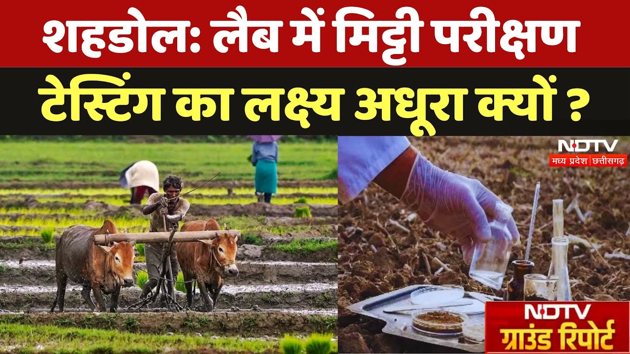 Shahdol News: Lab में Soil Testing का लक्ष्य अधूरा, कौन जिम्मेदार | Ground Report | Farmers | MPCG