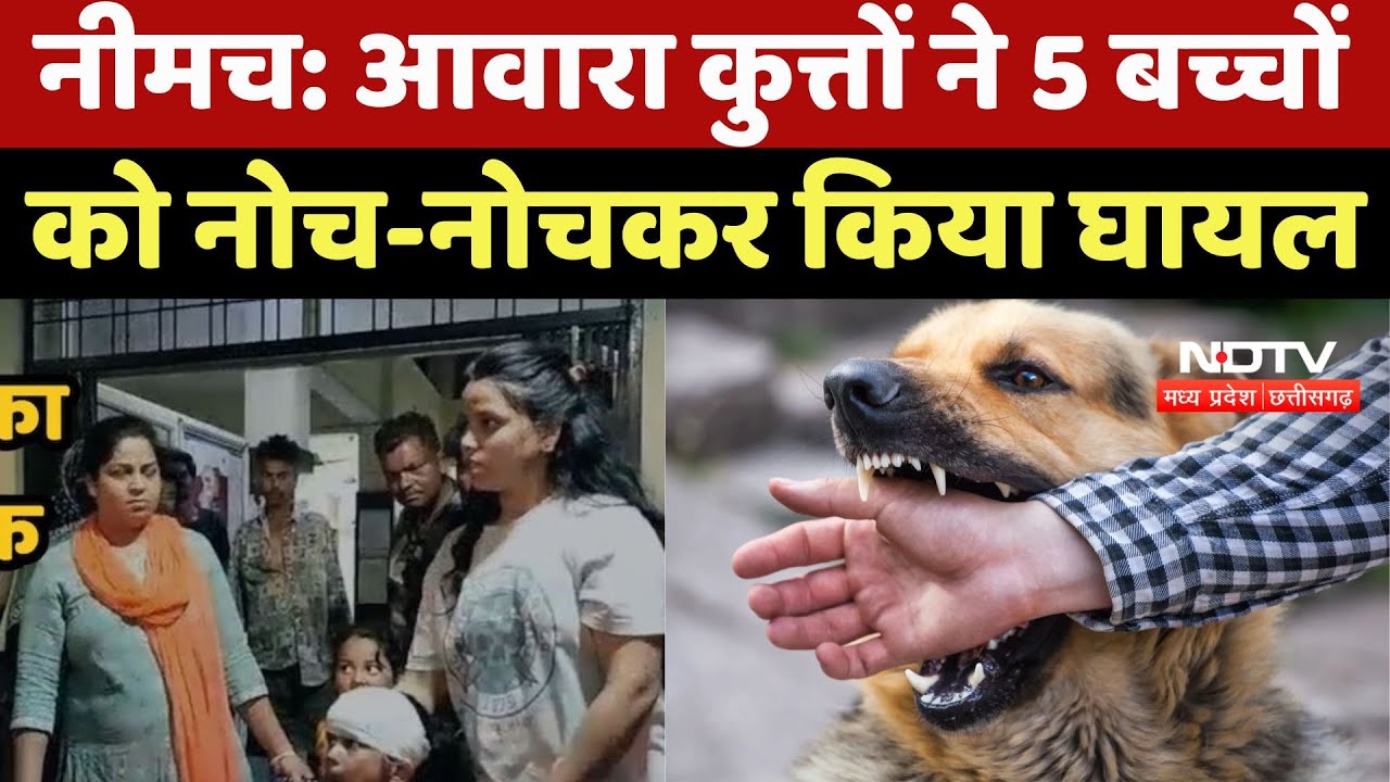 Dog Bite: आवारा कुत्तों ने 5 बच्चों को नोच-नोचकर किया घायल | Top Breaking | Latest | Rabies | MP