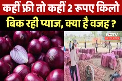Neemuch News : कहीं Fress तो कहीं 2 रूपए Kilo बिक रही Onion, क्या है वजह ? Neemuch News : कहीं Fress तो कहीं 2 रूपए Kilo बिक रही Onion, क्या है वजह ?