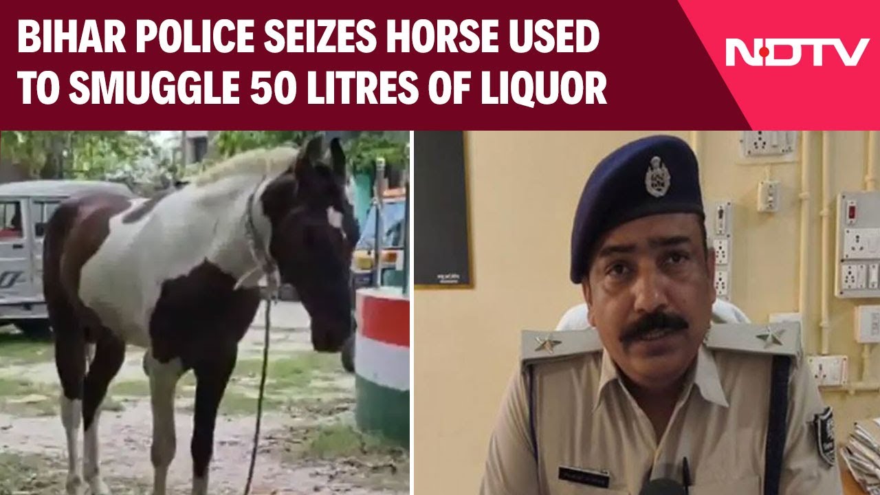 Video: Bihar News | Bihar Police Seizes Horse Used To Smuggle 50 Litres Of Liquor