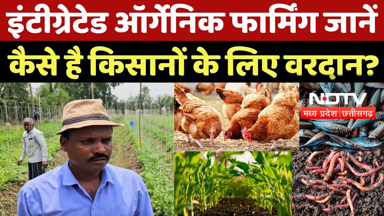Integrated Organic Farming से Gajanand Kushwaha कैसे कमा रहे लाखों, जानें तरीका | Pradesh Ka Prashn