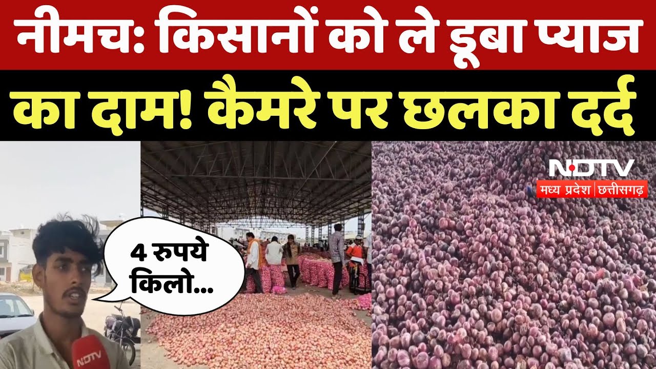 Onion Prices Fall In MP: नीमच में किसानों को ले डूबा प्याज का दाम! कैमरे पर छलका दर्द | Top News Onion Prices Fall In MP: नीमच में किसानों को ले डूबा प्याज का दाम! कैमरे पर छलका दर्द | Top News