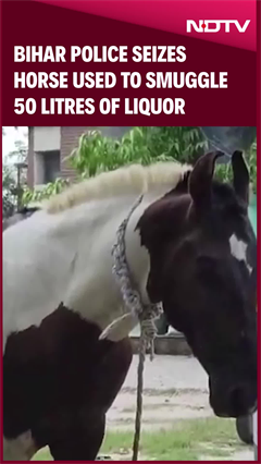 Video: Bihar Police Seizes Horse Used To Smuggle 50 Litres Of Liquor