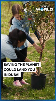 UAE Blue Visa: Applications Open For New 10-Year Residency Permit