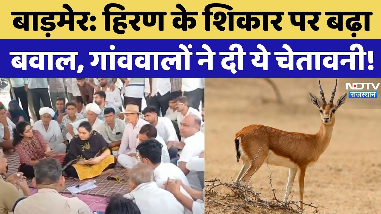 Barmer News: हिरण के शिकार पर गांववालों का जमकर Protest, दी ये बड़ी चेतावनी! Rajasthan Top News
