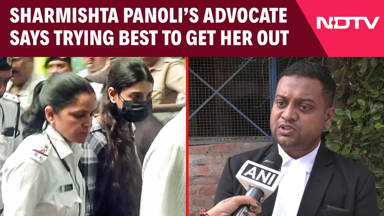 Sharmishta Panoli's Advocate: "Trying To Get Her Out Of Jail"