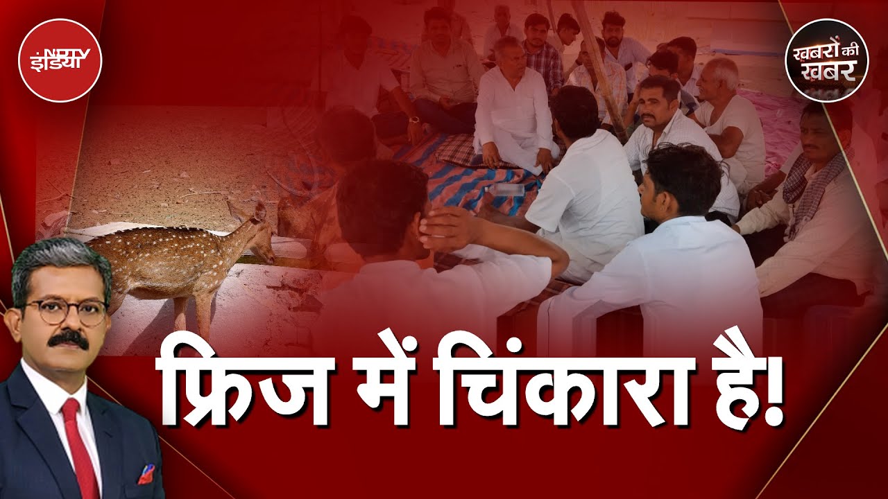Chinkara Killing: Rajasthan में चिंकारा का शिकार, Freezer क्यों चर्चा में | Khabron Ki Khabar