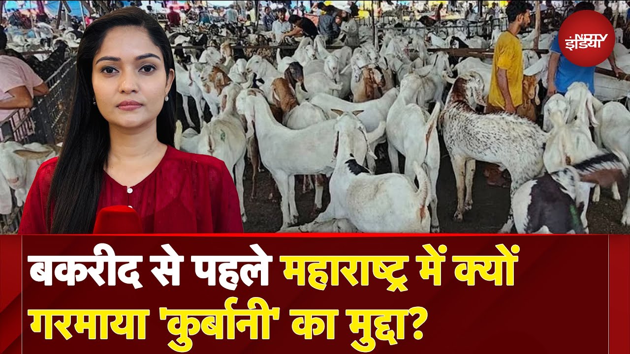 Controversy Over Bakrid Qurbani: Maharashtra में क्यों गरमाया 'कुर्बानी' का मुद्दा? | City Centre