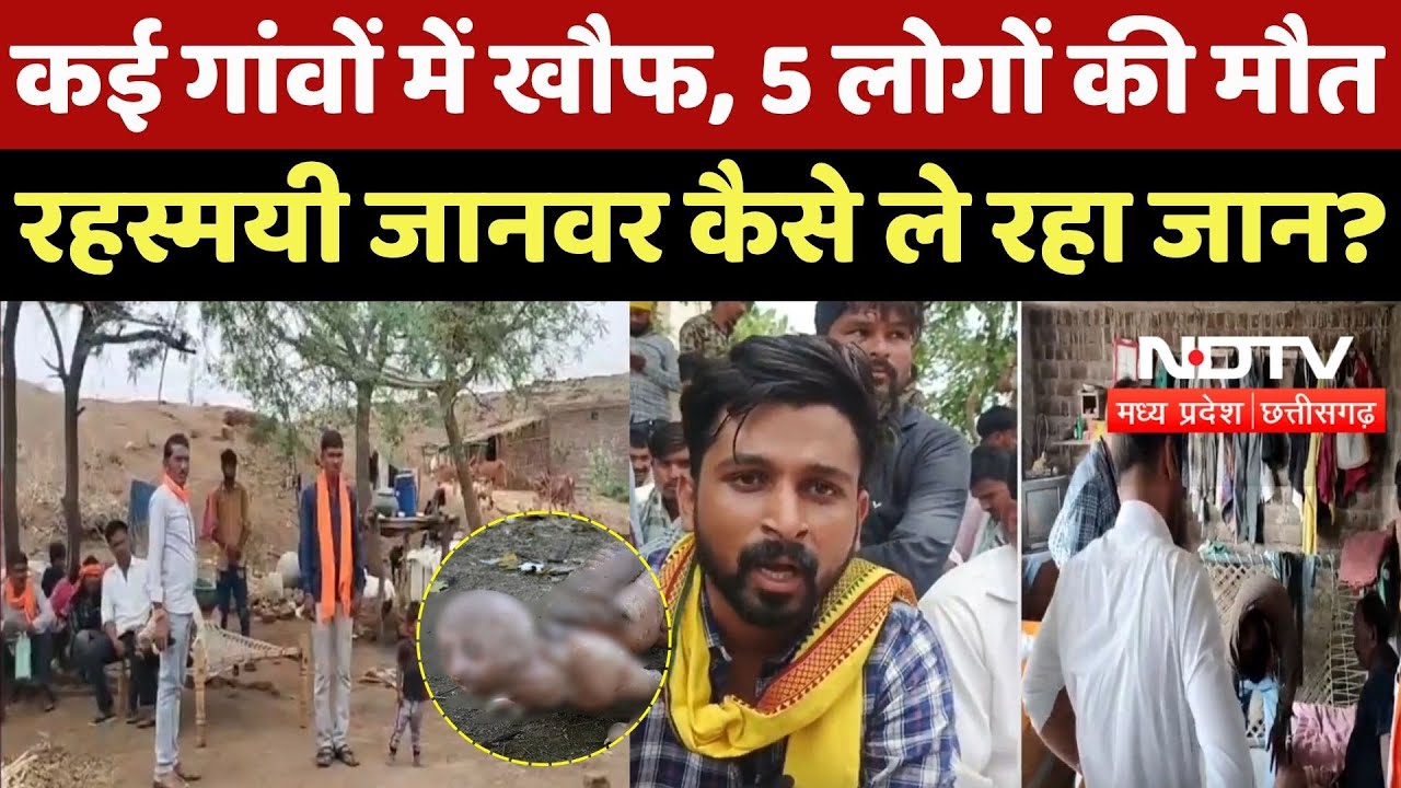 Mysterious Animal In Barwani: 3 गांवों में खौफ, 5 लोगों की मौत, रहस्मयी जानवर कैसे ले रहा जान? | MP Mysterious Animal In Barwani: 3 गांवों में खौफ, 5 लोगों की मौत, रहस्मयी जानवर कैसे ले रहा जान? | MP