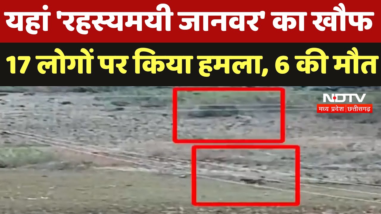 Mysterious Death In Barwani :  'अज्ञात जानवर' ने सोते हुए 17 लोगों पर किया हमला, 6 की मौत Mysterious Death In Barwani :  'अज्ञात जानवर' ने सोते हुए 17 लोगों पर किया हमला, 6 की मौत
