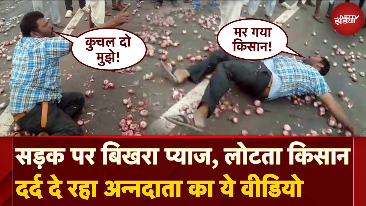Karnataka Onion Farmer Protest: सड़क पर बिखरा प्याज, बिलखता किसान! अन्नदाता का दर्द आपको रुला देगा!