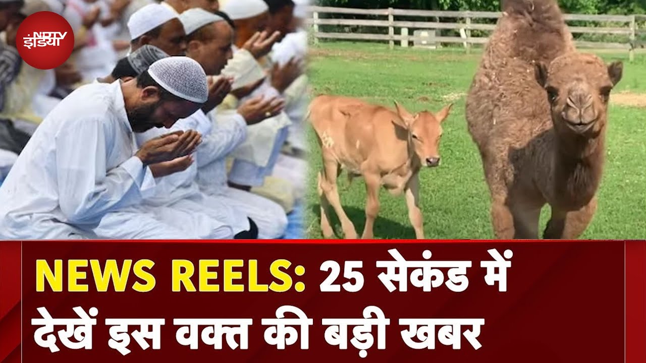 News Reels: Bakrid पर Delhi सरकार की एडवाइजरी; गोवंश, ऊंट की कुर्बानी पर पाबंदी | Eid Al Adha | NDTV